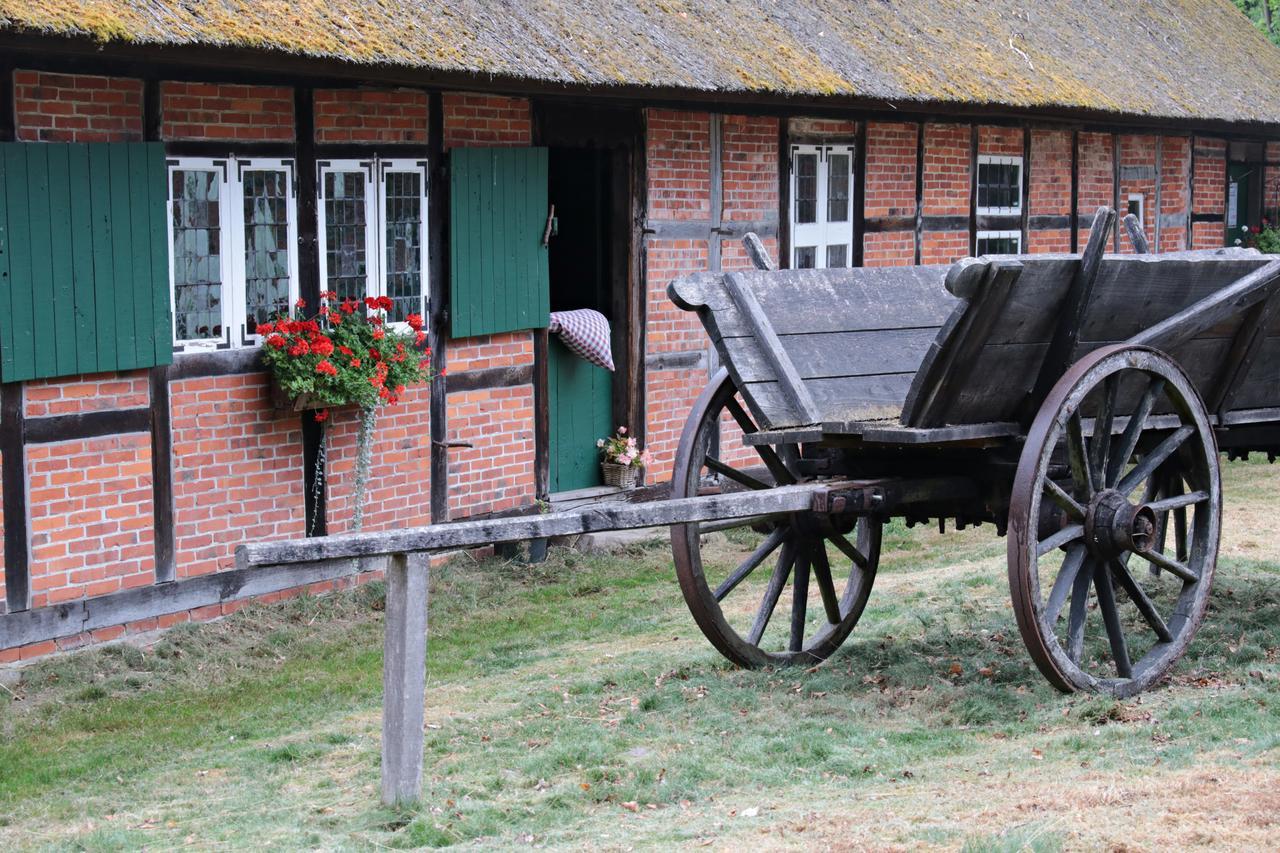 Ferienwohnungen / Ferienhaus Wahlers Bispingen Bagian luar foto